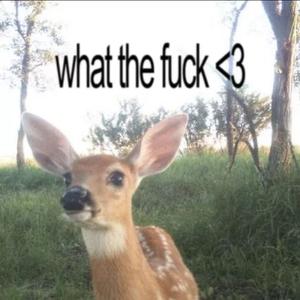 蜕 Feat.RisunMoneyRain（prod.Morrow)