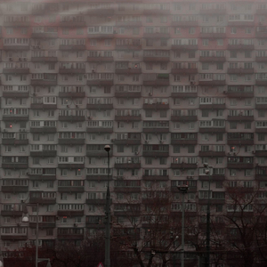 вдруг залетит (Freestyle)