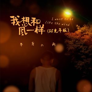 我想和风一样 (DJ版)