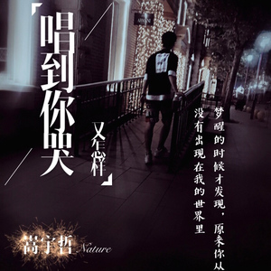 唱到你哭又怎样