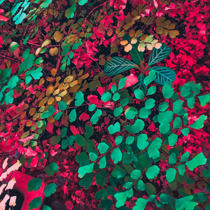 Советское радио