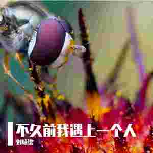 不久前我遇上一个人