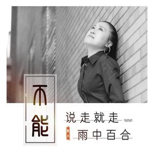 不能说走就走 (伴奏)