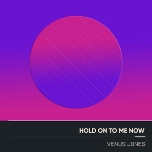 Hold on to Me Now (Unplugged Mix)