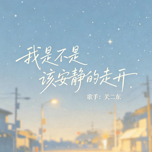 我是不是该安静的走开(DJ版)