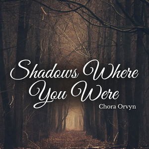 Shadows Where You Were