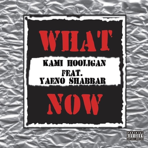What Now (feat. Yaeno Shabbar)