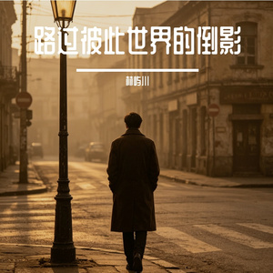 路过彼此世界的倒影