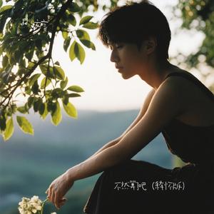 不然算了吧（释怀版）