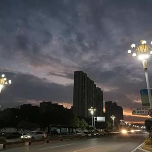 晓军晓军我爱你(1)