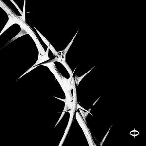 Honey (feat. Faded Frame)