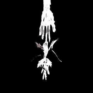 Сердце стонет