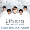 Libera - Lullabye (Goodnight my angel)