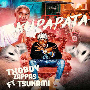 Kupapata