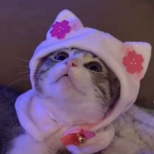 壁乱石穿 TYPE BEAT(0007)