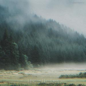 Misting Meadows (Instrumental )