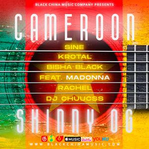 CAMEROON ft. Madonna x Krotal x Various Artists.