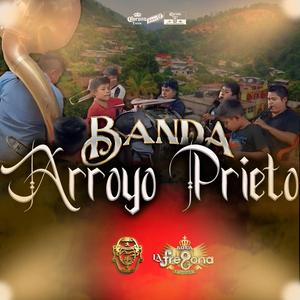 Madrecita Querida (Banda La Fregona de Arroyo Prieto) (En vivo)