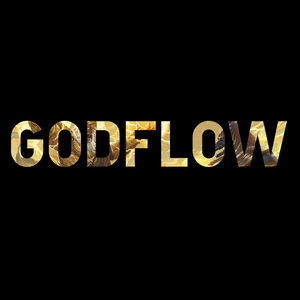 GODFLOW