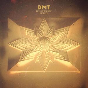 DMT The Other Side (Didier Declercq Remix)