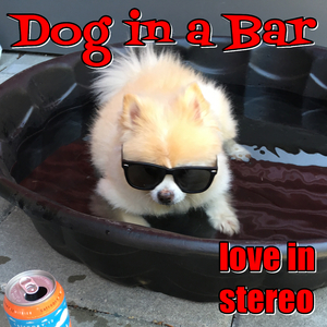 Dog in a Bar