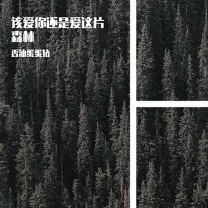 该爱你还是爱这片森林