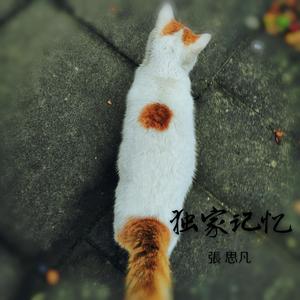 后来（吉他弹唱）