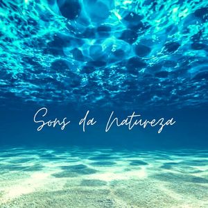 Sonidos del Mar para Dormir, pt 22