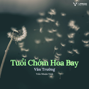 Tuổi Chớm Hoa Bay