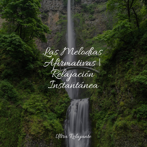 Relájate en Armonía