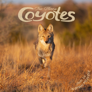 Coyotes