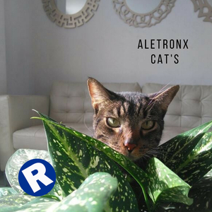 Cat's (Original Mix)