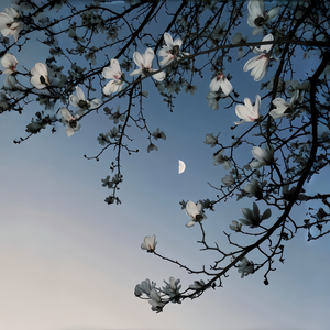 自由和孤独原来是同义词