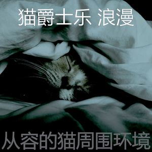 微妙的小猫心情