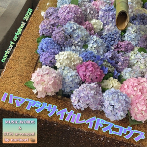 ハマアジサイカレイドスコウプ