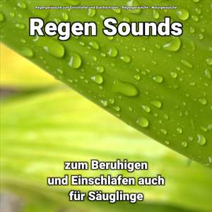 Bedächtige Geräusche