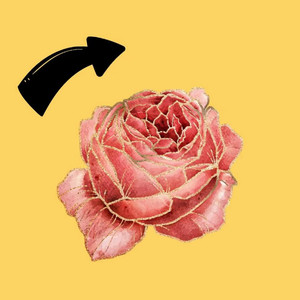 爱我吧，就爱我好吗？