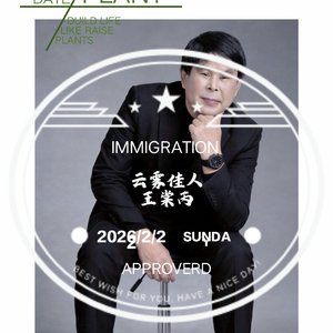 云雾佳人