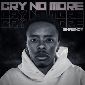 Cry No More (feat. Tylan1k)