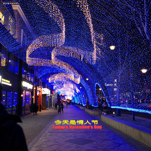 花海 (Live with Melodica)