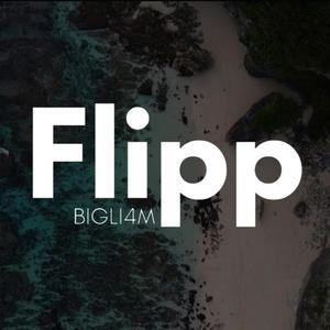 Flipp