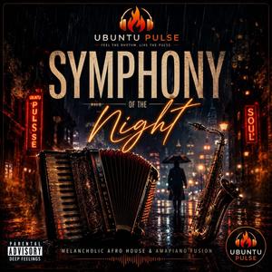 Symphony Of The Night