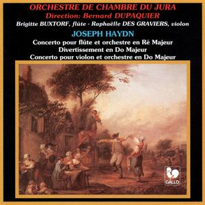 Violin Concerto in C Major, Hob. VIIa:1: I. Allegro moderato