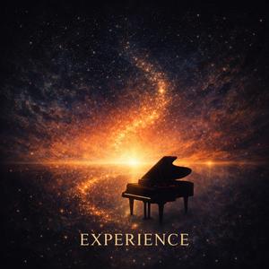 Experience