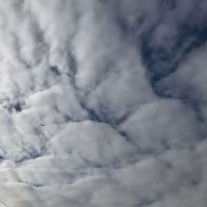 微风徐徐（Tiny box solo）