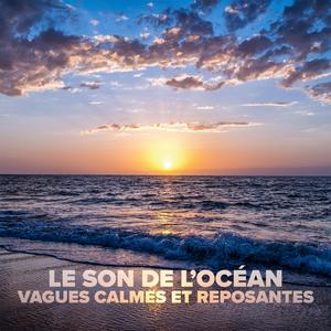 Flux et reflux de l'océan pour trouver un sommeil profond et réparateur