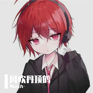 风吹丹顶鹤（片段）