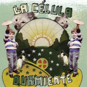 Células Madre