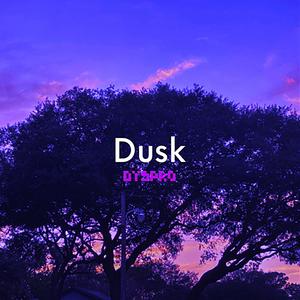 Dusk (Original Mix)