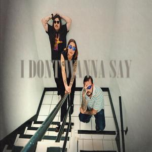 I Dont Wanna Say